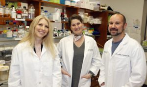 Breast cancer program lands new research grants
