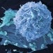 Study explores how some breast cancers resist treatment