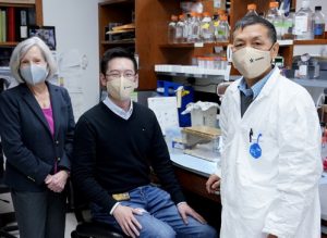 Study reveals new strategy for reducing tumor growth, metastasis