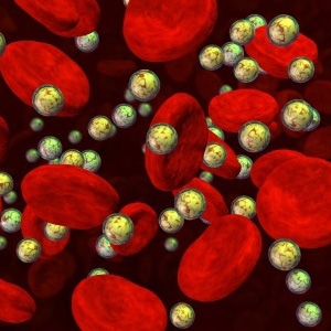 3d rendered illustration of blood cells with droplets