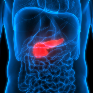 3D Illustration of Pancreas